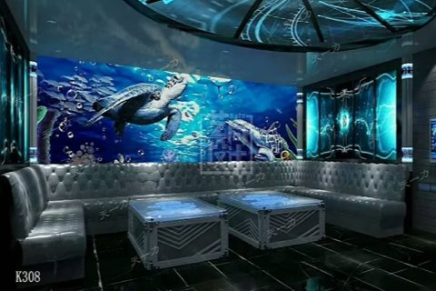 玉林小时场ktv体验分享-兴业县ktv预定